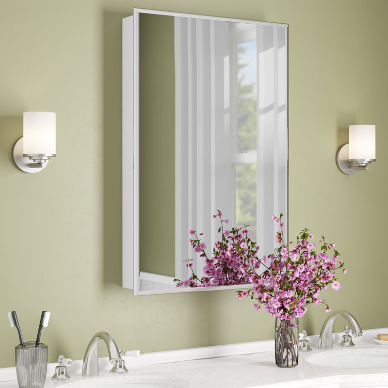 Waverly Hall 24" x 36" Surface Mount Medicine & Reviews Birch Lane